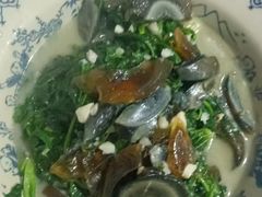 -柘林湖生态鱼馆