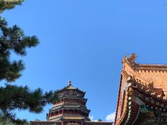 -颐和园
