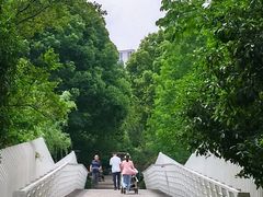 -南翔镇银翔湖公园