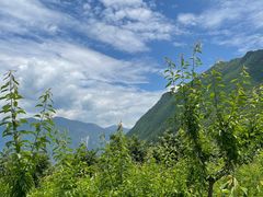 -萝卜寨羌文化生态旅游区
