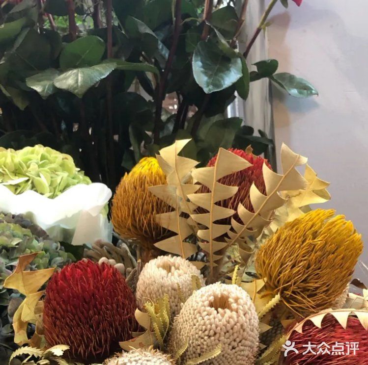 默默的迎接着春天的到来！