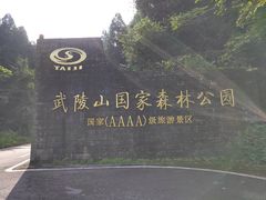-武陵山森林公园