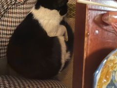 -樱の花亭日本料理店