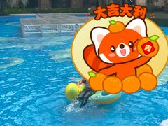 -上海闵行星河湾酒店