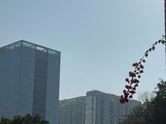 -点心传说·粤菜点心(佐阾虹湾店)