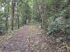 -铁山坪森林公园