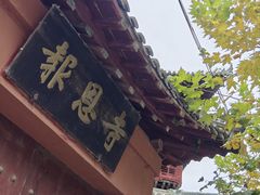 -报恩寺(平武县)
