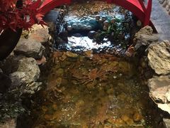 -綱元·海鲜豆捞(明州里店)