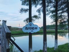 -乌村