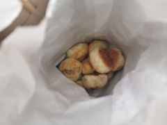 榨菜月饼-采芝斋(延安路店)