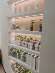 -skin79皮肤管理中心