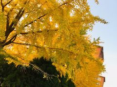 -辽宁大学(崇山校区)