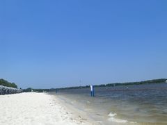 -呼兰河口湿地公园