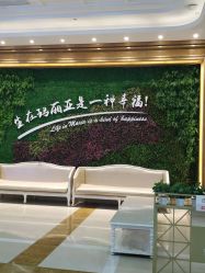 -玛丽亚妇产医院