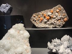 -浙江自然博物院(杭州馆)