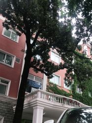 -复旦大学附属妇产科医院(黄浦院区)