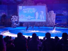 -华夏文旅海洋公园