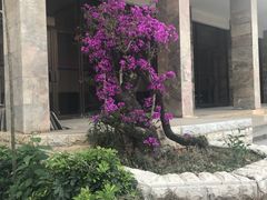 -云南师范大学(一二一西南联大校区)
