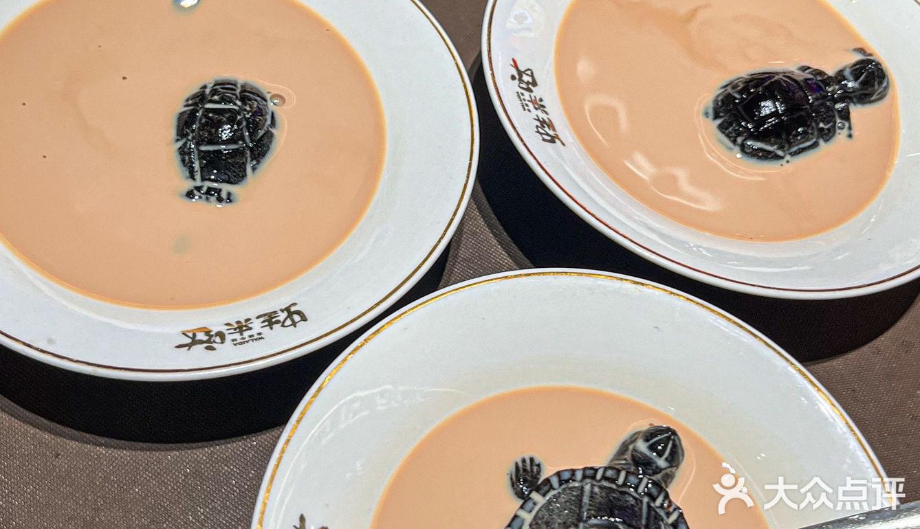 来蛙来哒🉑以又吃蛙又吃龟🐢
