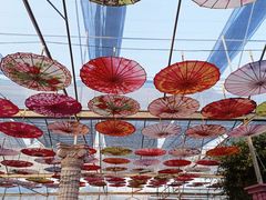 -广东花都香草世界旅游度假区