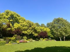 -上海共青森林公园