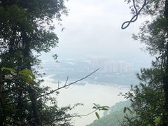 -铁山坪森林公园