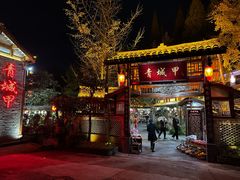 -青城甲(青城山店)