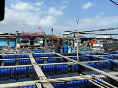 -蓝湾碧波·老字号·疍家非遗海上餐厅