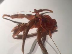 -海味当家·蒸锅海鲜(星海公园店)