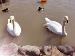 -上海野生动物园