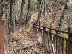 -王顺山国家森林公园