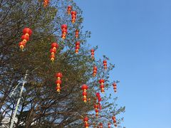 -海心沙亚运公园