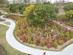 -春花秋色城市公园