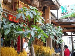 -昆虫窝子·特色云南菜(拓东路总店)