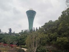-狐尾山公园
