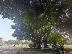 -东莞植物园