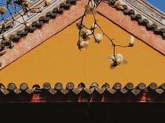 -龙华寺