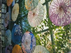 -海韵人家.海景花园经典云南菜(双廊店)