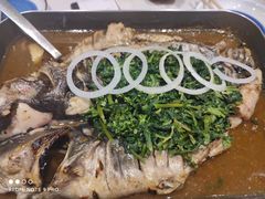 -鱼酷活鱼烤鱼(沈阳大悦城店)