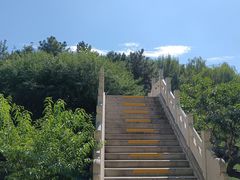 -团结湖公园