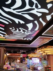 -卡通尼·Safari非洲探索乐园·生日会(金桥国际商业广场店)