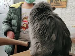 -平行世界·猫咖(首经贸店)