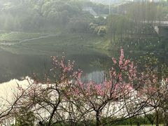 -重庆中央公园(渝北区)