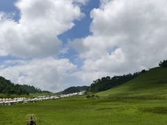 -关山草原