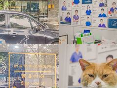 -伟伟宠物医院·CT影像中心·瑞派犬猫综合性门诊(汉口总院)