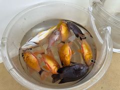 -铭轩中餐厅·海南菜·粤菜(亚龙湾瑞吉店)