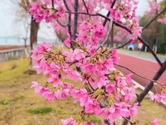 -艾溪湖湿地公园