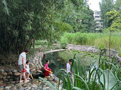 -成都市活水公园