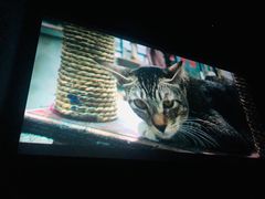 -金逸影城(中关村店)