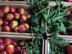 -江杨农产品批发市场